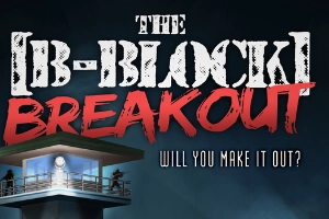 Das Hauptbild vom Spiel The B-Block Breakout